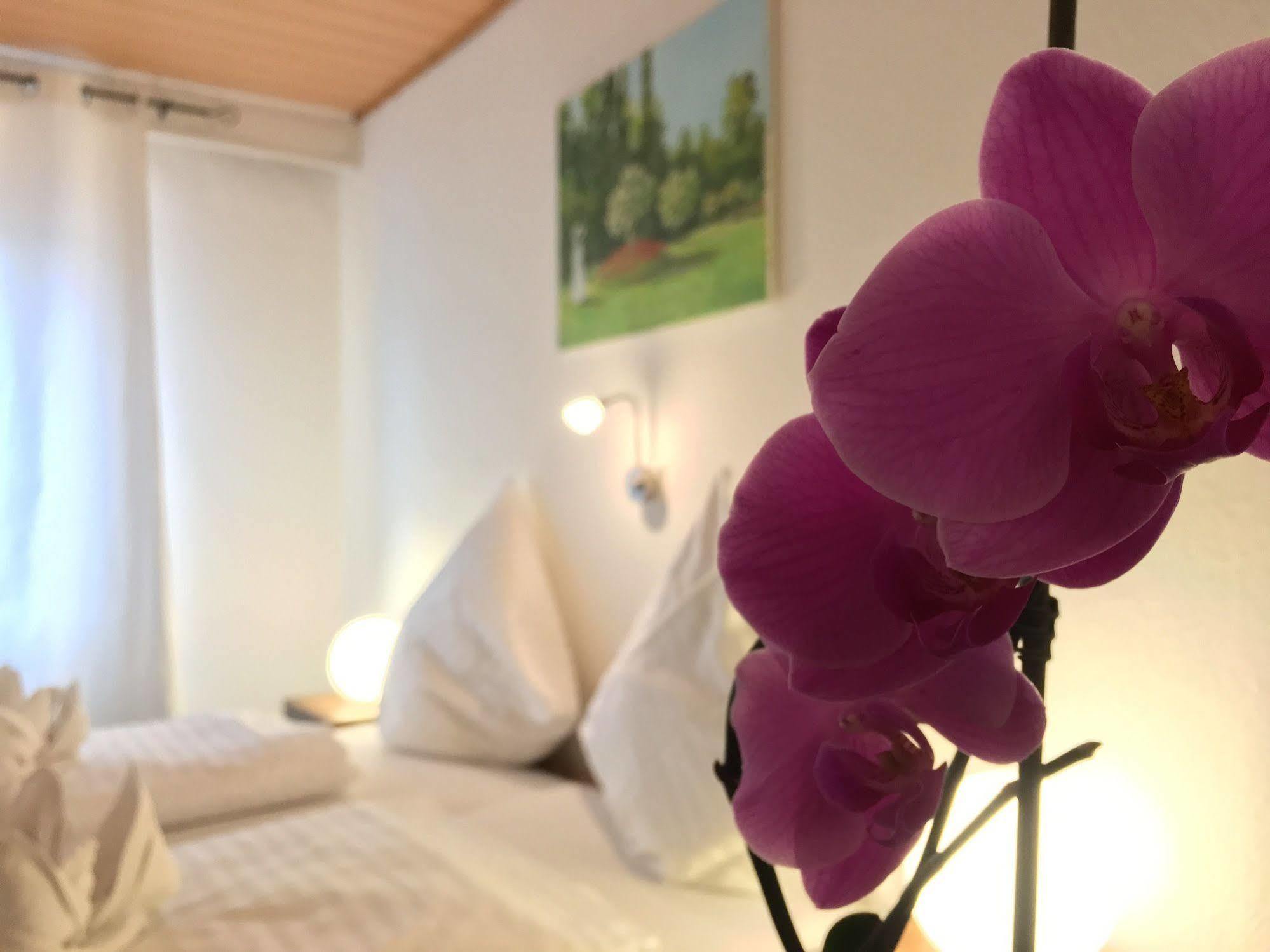 City Hotel Diez Kültér fotó